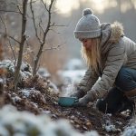 winter garden maintenance tasks